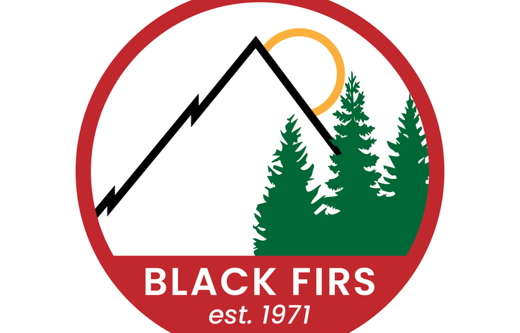 Image of New Logo for Black Firs Primary School
